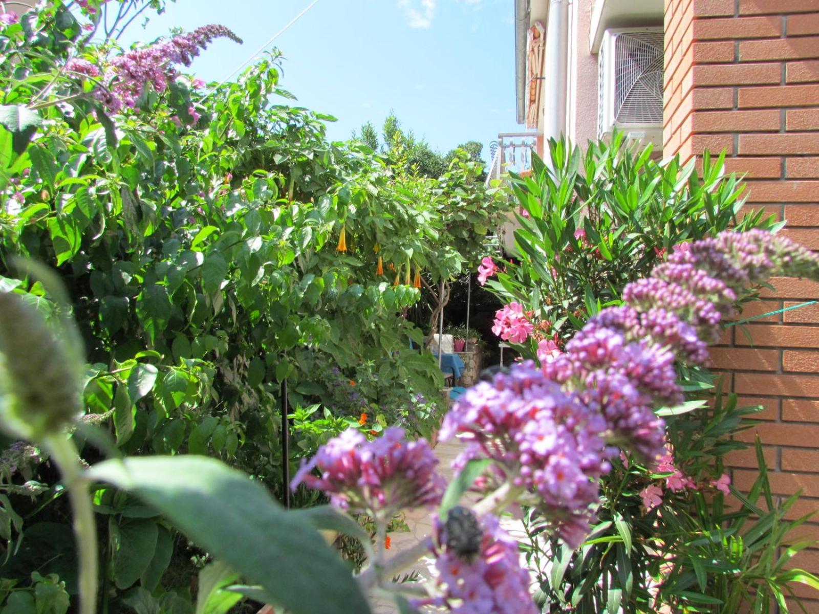 Apartments Bura & Jugo, Cres, Without Stress Екстериор снимка