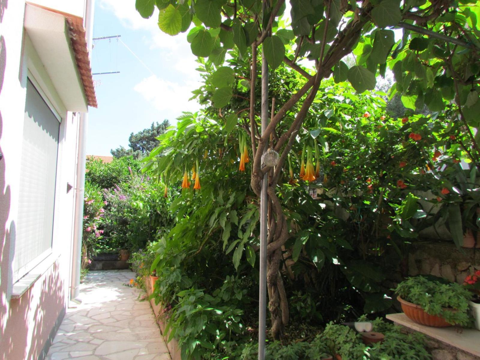 Apartments Bura & Jugo, Cres, Without Stress Екстериор снимка