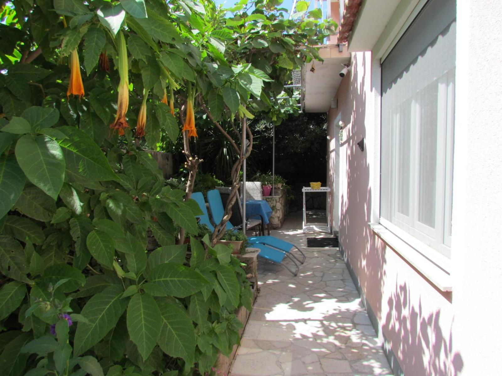 Apartments Bura & Jugo, Cres, Without Stress Екстериор снимка